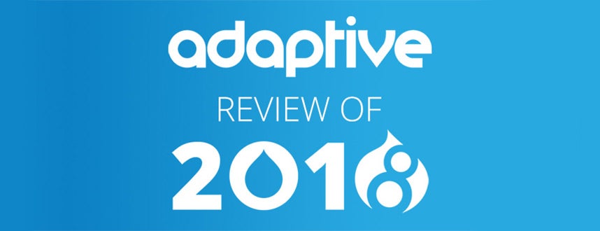 Adaptive's 2018 Review